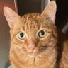 Profilbild von Westy West