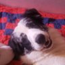 Profilbild von Κηνως