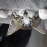 Фото профиля Nicolas Bailly