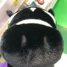 ゴリドル profil fotoğrafı