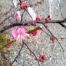 Profilbild von 陽泉