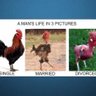 س profil fotoğrafı