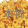 Фото профиля わがままお姫様どんぐり