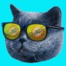 Thomas's profile picture