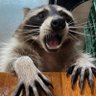 James Ganzer's profile picture