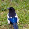 Фото профиля SportsNUFC22