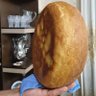 Talesh_Iran 的头像