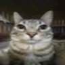 Leo.com profil fotoğrafı