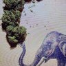 BlazedRepublican 的头像