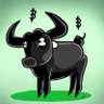 CryptoStonk's profile picture