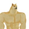 D1zaster's profile picture