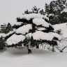 斯文痞子 profil fotoğrafı