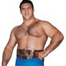 Profilbild von Bruno Sammartino