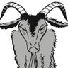 C Nicolas C's profile picture