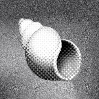 Shoalresearch's profile picture