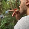 Фото профиля Niko B🇵🇷