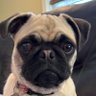 Val Jean's profile picture