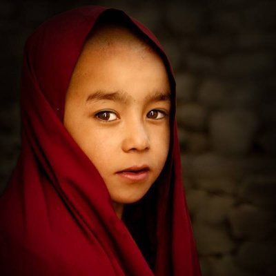 Tristan's profile picture