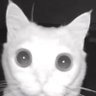 Profilbild von SockRatTees