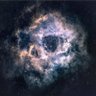 Фото профиля EndlessWound