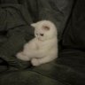 skyyy's profile picture