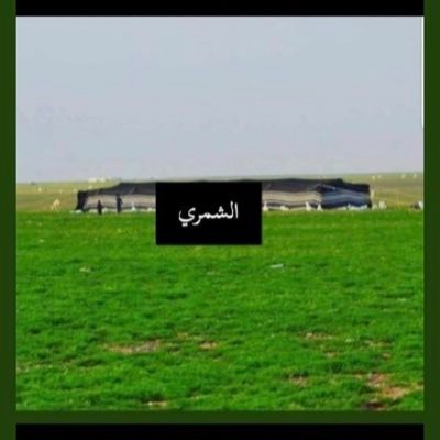 alshammari88rr's profile picture