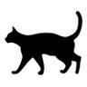 Dianoまま profil fotoğrafı