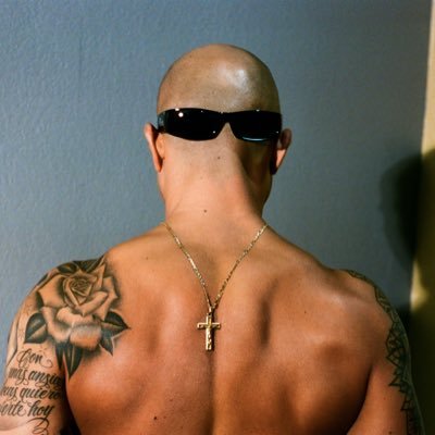 Snakeskin Jacket's profile picture