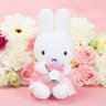 Profilbild von 桜ミッフィー🌸