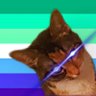 Definitely_not_Snickers 的头像