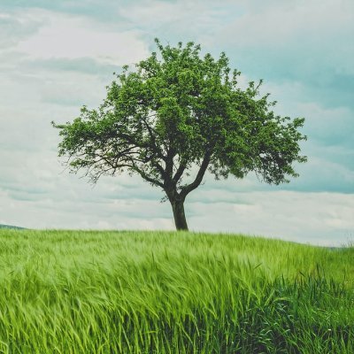 Mahaa_Inv's profile picture