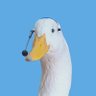 Bintang Adi's profile picture