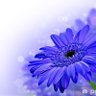 Фото профиля Daisy April 💙 #NoToViolenceZW