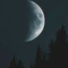 Andreas's profile picture