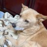 さるもん 的头像