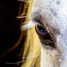 Фото профиля JohnB