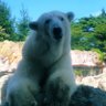 kuma.1023 的头像