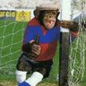 Jonas Werme's profile picture