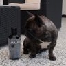 Winston 的头像