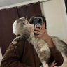 ˙ǝ's profile picture