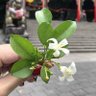 💐きらり's profile picture