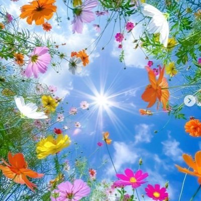 JamesMonic14329's profile picture