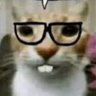 miau 的头像