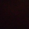 saia's profile picture