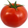 Profilbild von 🍅トマ美🍅