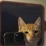 Profilbild von NineTreyBigHomie
