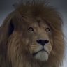 fl's profile picture