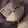 João's profile picture