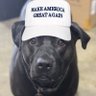 Kevin✝️🇺🇸's profile picture