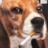 Profilbild von MayZee